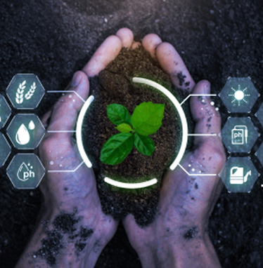 حوزه کشاورزی هوشمند