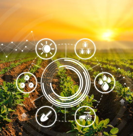 حوزه کشاورزی هوشمند