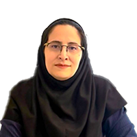 سرکار خانم مهندس مریم صفایی