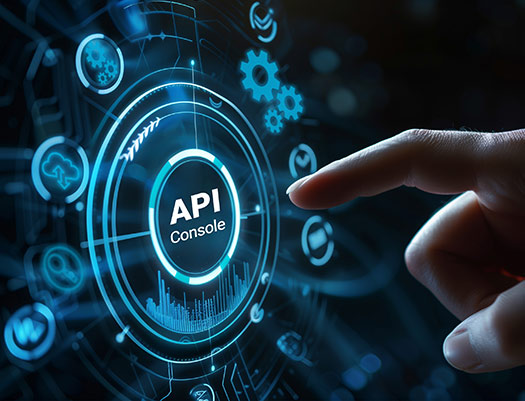 APi console